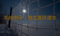羊晚快评｜梅龙高铁通车，开启粤东地区发展新篇章 